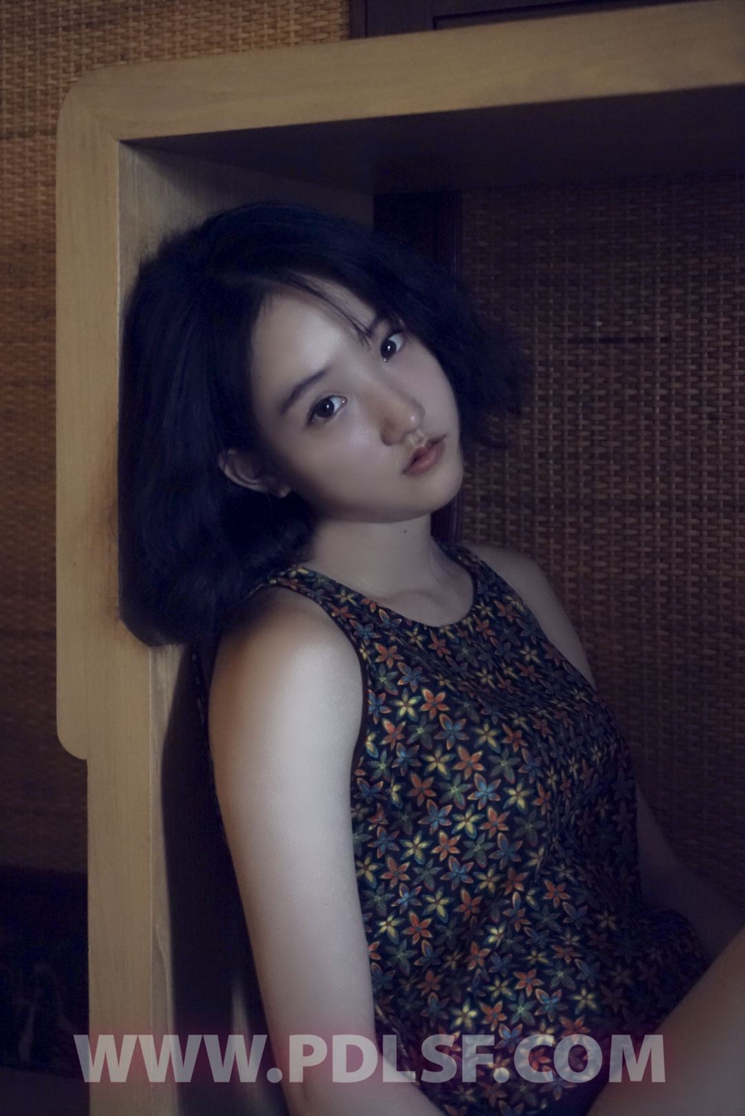 PDL潘多拉 2020.03.02 专辑No.282